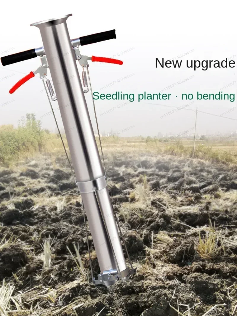 Seedling Transplanter Vegetabl - đánh giá và giá Vegetable Transplanter