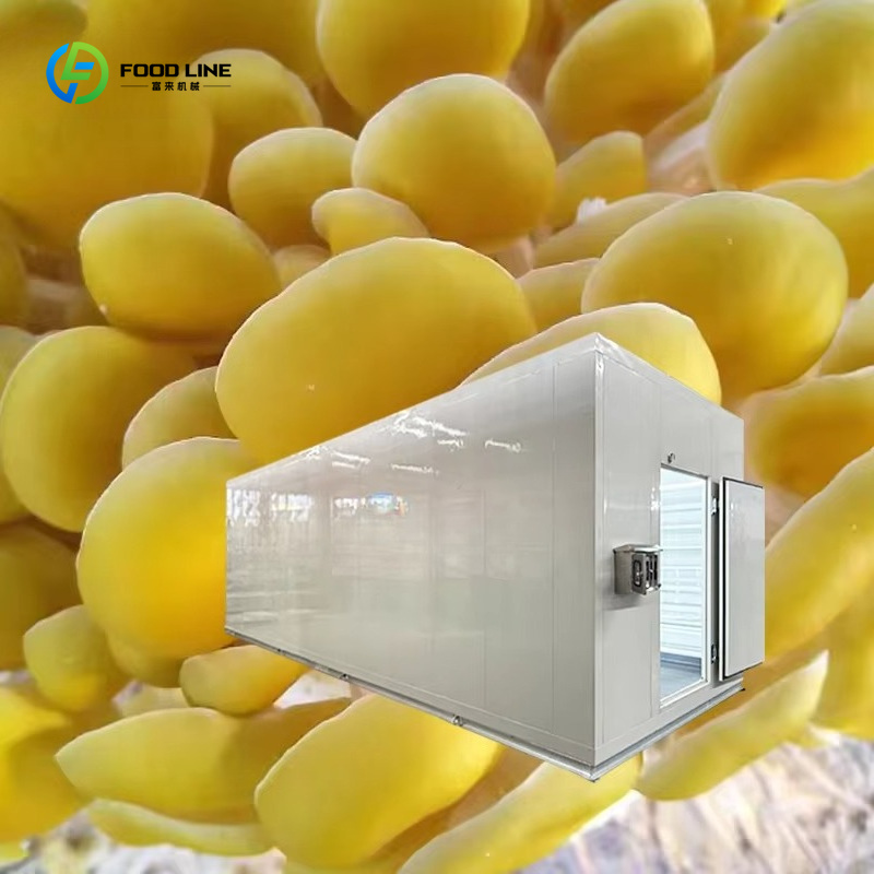 Smart Mushroom Growing Capsule - đánh giá và giá Smart Farming Technology In Agriculture