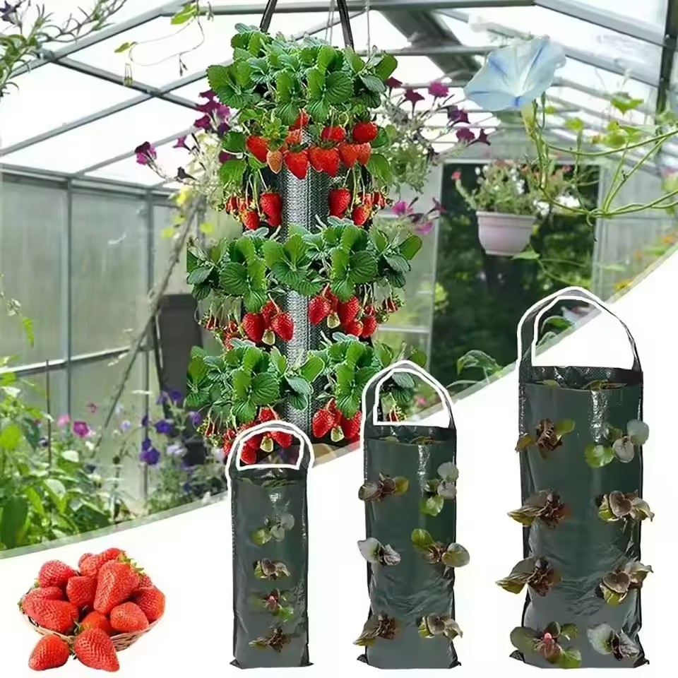 4/6/8/10 Holes Hanging Strawbe - đánh giá và giá Vegetable Transplanter