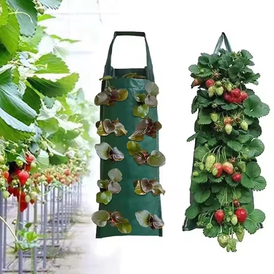 4/6/8/10 Holes Hanging Strawbe - đánh giá và giá Vegetable Transplanter