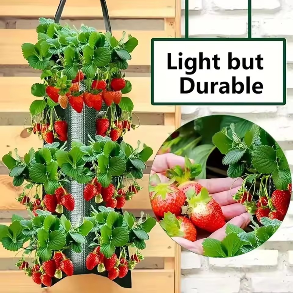 4/6/8/10 Holes Hanging Strawbe - đánh giá và giá Vegetable Transplanter