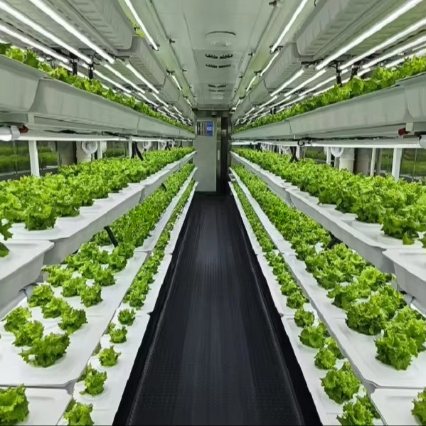 Smart Automatic Aeroponic/Aqua - đánh giá và giá Farming A