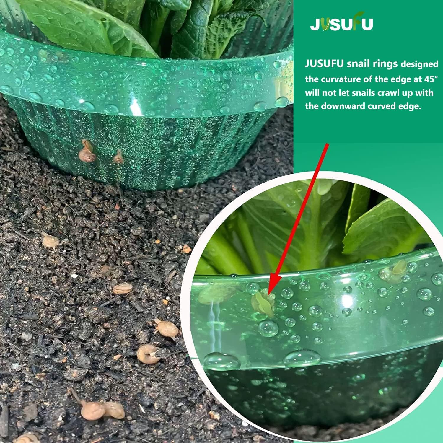 1/30pcs Plants Slug Protection - đánh giá và giá Vegetable Transplanter