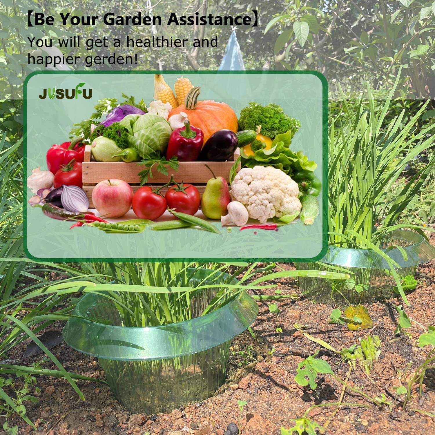 1/30pcs Plants Slug Protection - đánh giá và giá Vegetable Transplanter