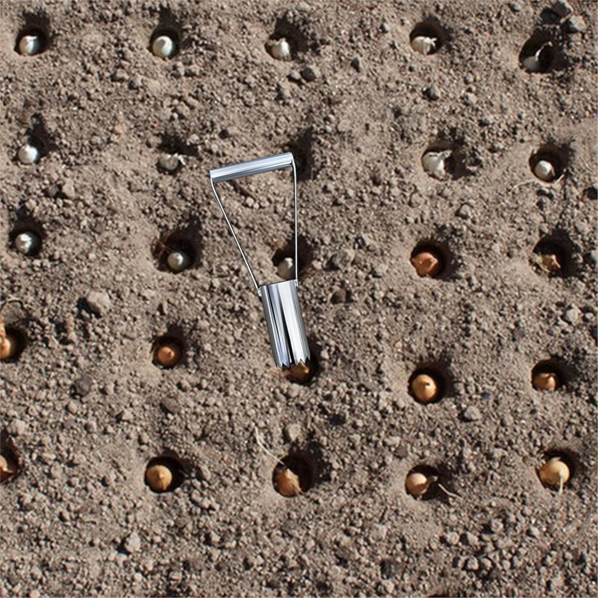 Short Handle Bulb Planter Gard - đánh giá và giá Vegetable Transplanter