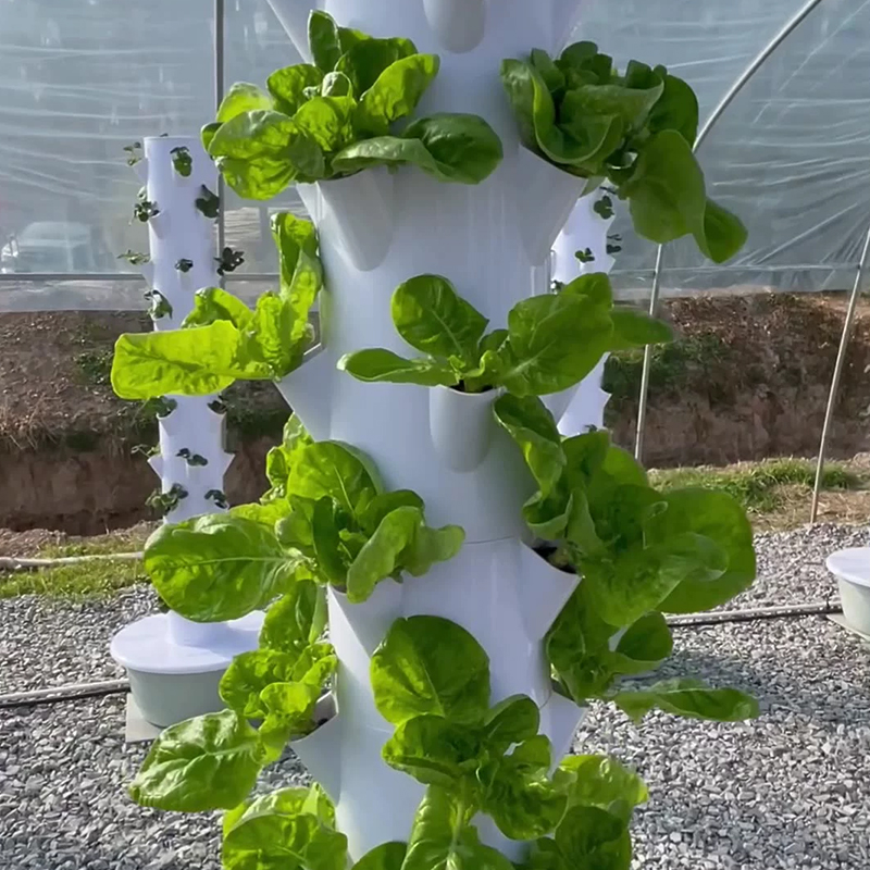 With Led Grow Light Space Tree - đánh giá và giá Vegetable Transplanter