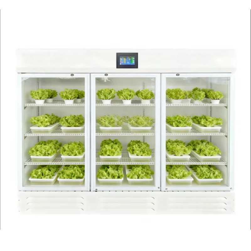 HEZHOU HZ-3 Indoor Hydroponic  - đánh giá và giá Farming A