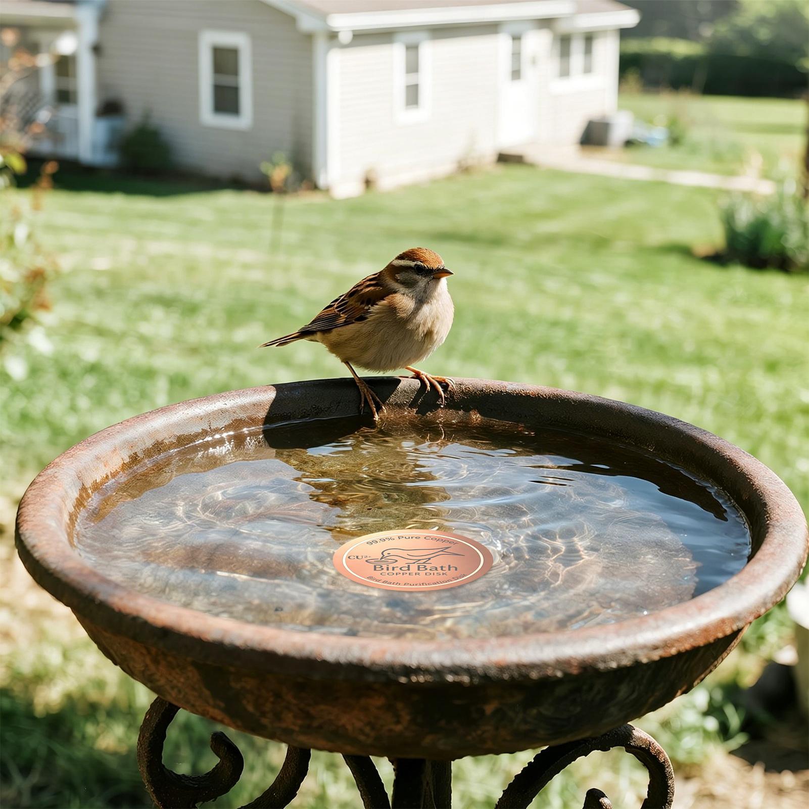 Bird Bath Copper Disc 0.6mm Th - đánh giá và giá Farming A